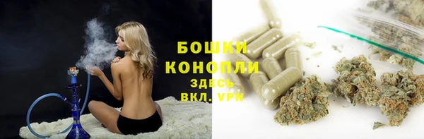 Альфа ПВП Бородино