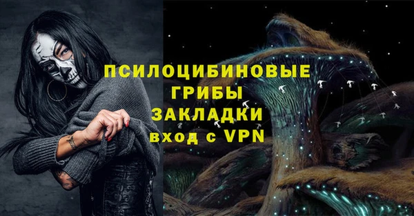 Альфа ПВП Бородино