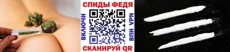 где купить наркоту  Новохопёрск  блэк спрут ссылка  Первитин витя 
